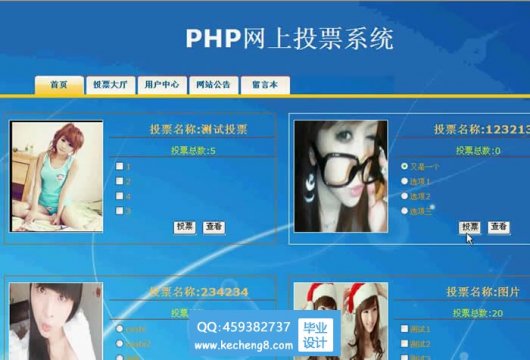 php004网络投票在线投票系统